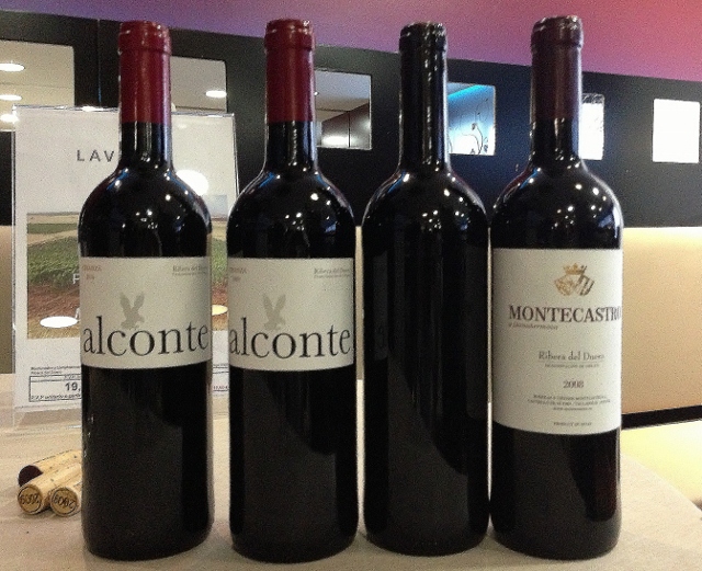 Bodegas_Montecastro_presentación_Lavinia_Alconte_Montecastro